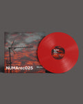 "Sky Zoo" Disco Vinilo.. Big Band of Visual Noise (BBVN).